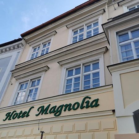 Hotel Magnolia Roudnice nad Labem Buitenkant foto